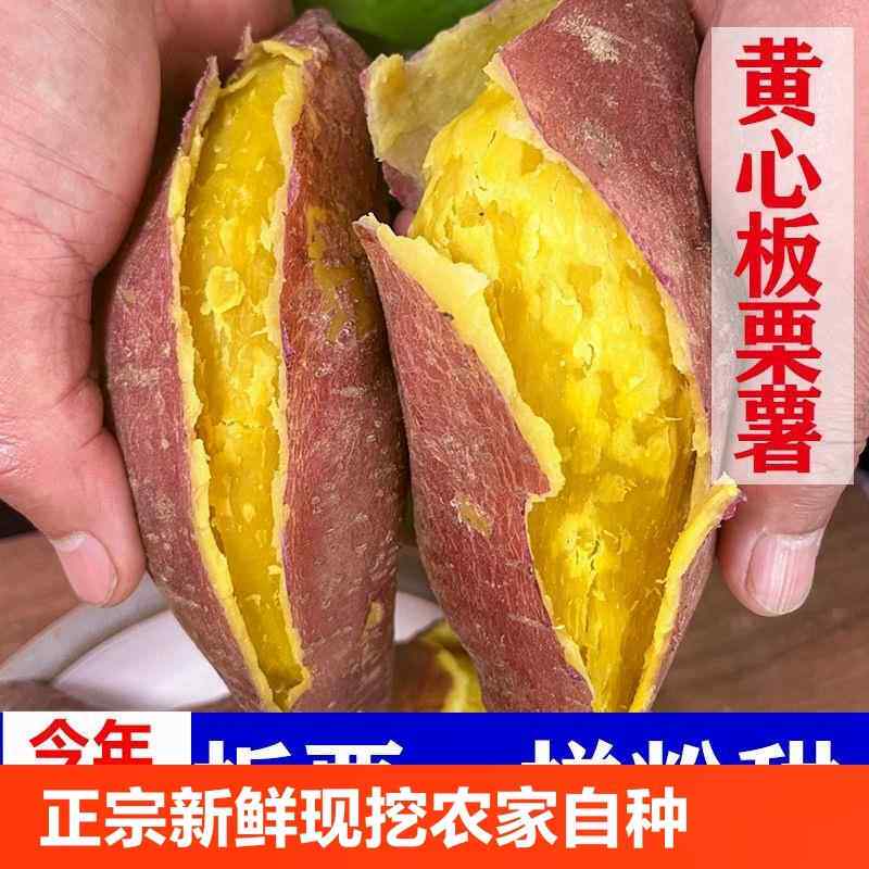 正宗板栗薯新鲜粉糯黄心番薯沙地板栗红薯栗子王地瓜自提自种软糯