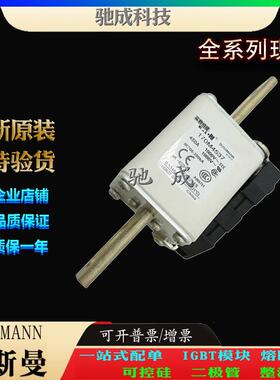 巴斯曼170M4537 170M4538 170M4539 大量现货销售 快速熔断器