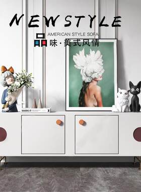 白色钢琴烤漆电视柜现代简约烤漆餐边柜创意客厅视听柜地柜整装