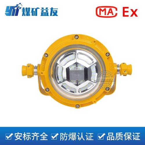 DGS30/127L(A)矿用隔爆型LED感应巷道灯30W感应款防爆灯节能省电