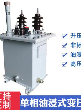 10KVA单相油浸式变压器10KV变220V升压降压高压变压器10/20/30KW/