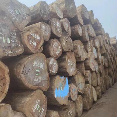红坚木 巴新红坚 坚木红檀白坚白木 原木可加工