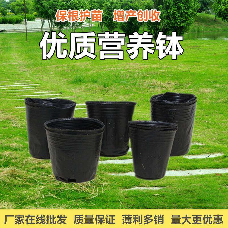 【整包】营养袋耐用黑色塑料播种耐用营养钵盆营养杯园艺