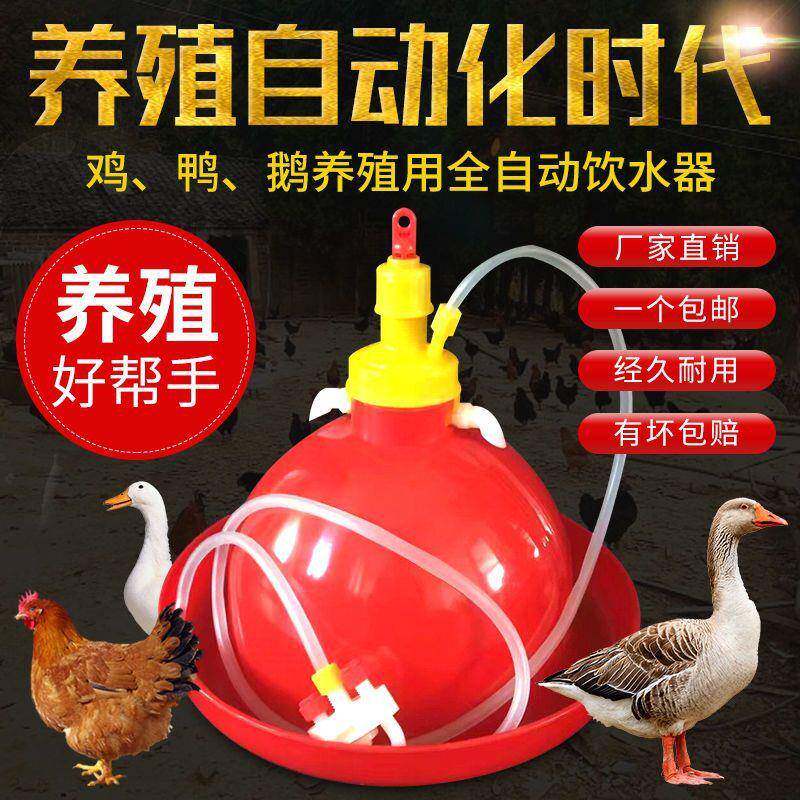 加厚普拉松养鸭鹅鸡用自动饮水器喂水器加水壶养鸡养殖设备鸡用品