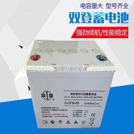 现货供应双登蓄电池太阳能备用电源6-GFM-12/12V12AH免维护