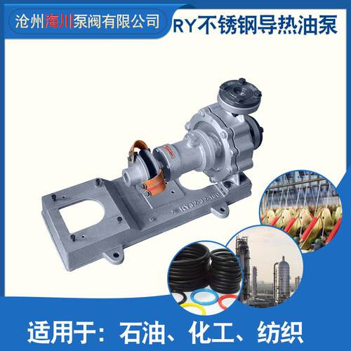 RY不锈钢导热油泵高温循环输送泵循环油泵离心泵锅炉印染定型用泵