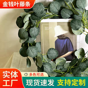 饰壁挂吊顶家居装 金钱叶植物藤条仿真垂吊田园户外假植物墙面装 饰