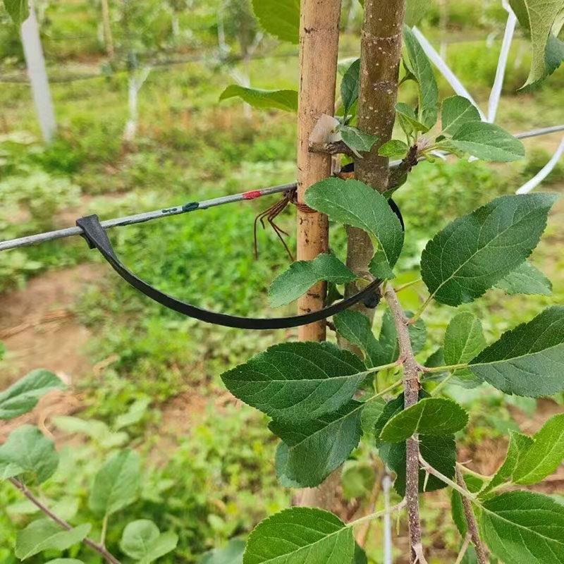 新款果树绑枝卡葡萄奇异果绑枝卡扣绑蔓卡果园绑枝卡扣绑枝固定器