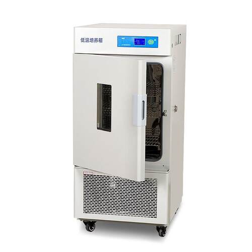 上海一恒低温培养箱LRH-100CA，微生物培养负40度微生物培养