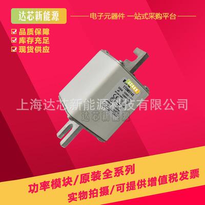 170M5258 170M5259 170M5260 170M5261 170M5262 170M5263熔断器
