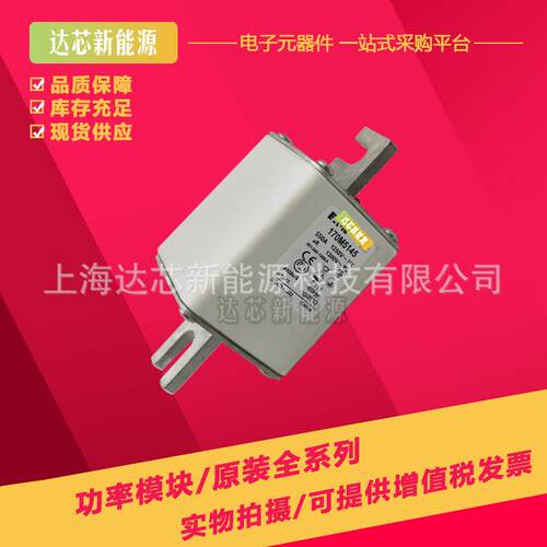 170M5258 170M5259 170M5260 170M5261 170M5262 170M5263熔断器