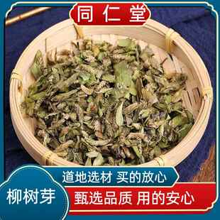 农科院正宗品质中药材 柳芽 柳树芽 柳芽 嫩柳芽 柳芽茶新货