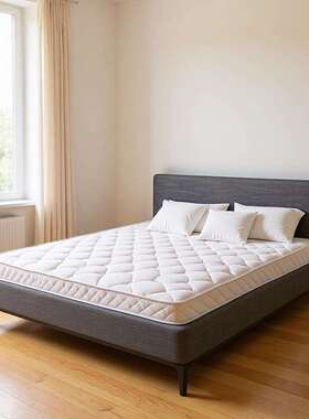 黄床垫硬垫子儿童榻榻米床垫折棕垫护脊椰棕乳胶床垫可叠1981麻0c