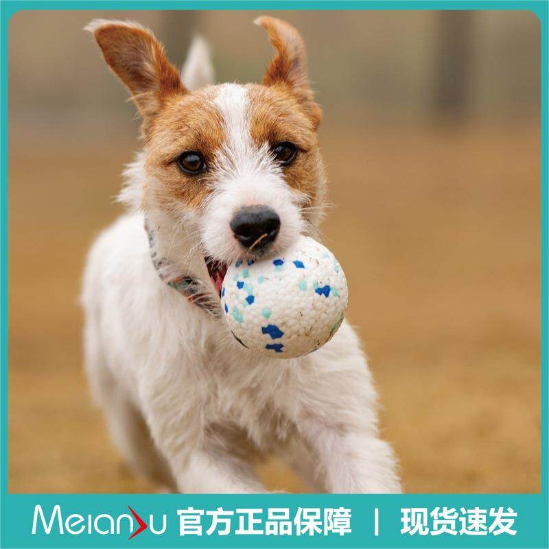 Meianju爆爆球高弹轻巧爆米花球 耐咬磨牙宠物玩具狗狗实心玩具球