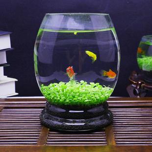 微景观玻璃生态造景瓶免打理DIY鱼缸水草泥水培植物种籽套餐批发