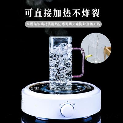 高硼硅杯子玻璃杯家用耐高温耐热带把手喝水杯套装高级感待客茶杯