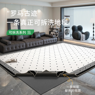 轻奢高级感可机洗可拆洗沙发雪尼尔地垫大面积全铺 地毯客厅新款