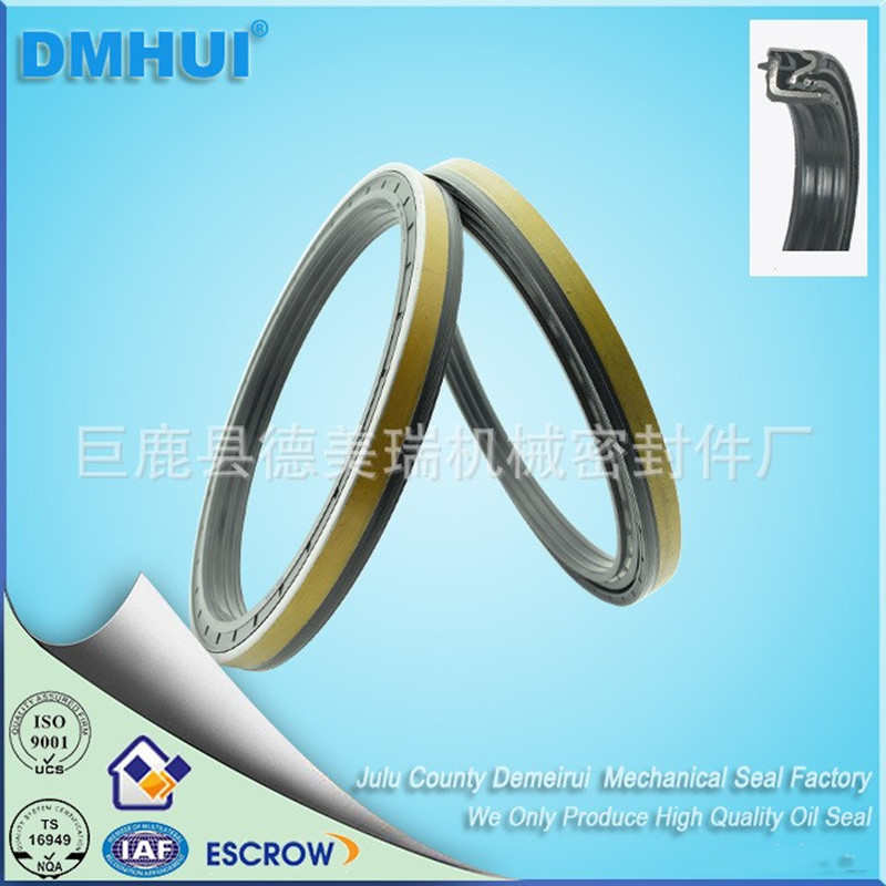 DMHUI氟胶油封工程机械轮毂油封机械密封件标准件170*200*15/16