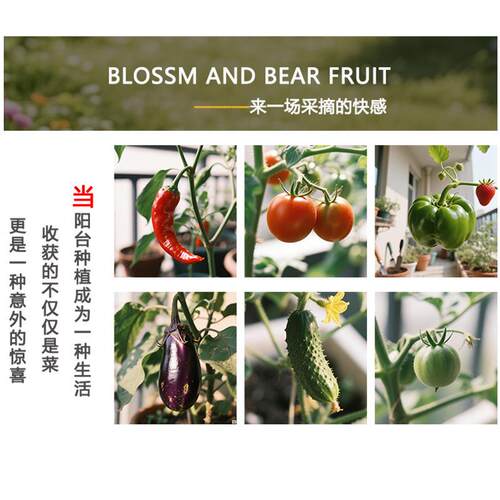 【新款单层五联箱】家庭室外庭院专用种花种菜花箱造景花盆种植箱