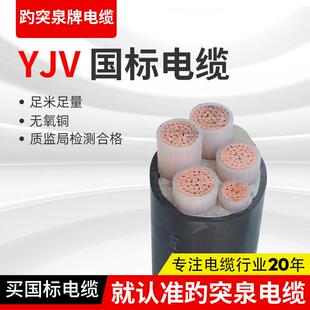 YJV22阻燃带铠装电缆线四芯钢带电缆0.61KV电缆五芯地埋国标电缆