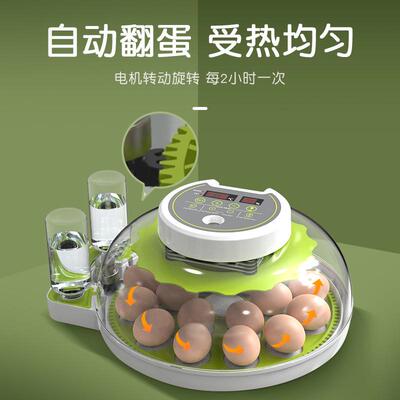 威振孵化器小型家用迷你孵化机智能全自动小鸟蛋芦丁鸡恒温孵蛋箱