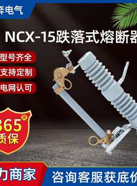 NCX-15/200A高压跌落式熔断器10kv令克开关ABB型LBU II-12kv/100A