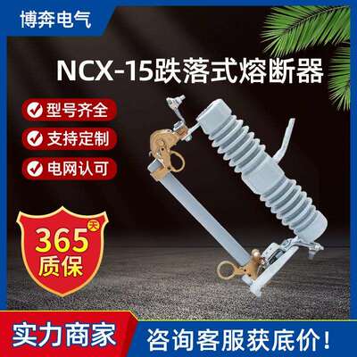 NCX-15/200A高压跌落式熔断器10kv令克开关ABB型LBUII-12kv/100A