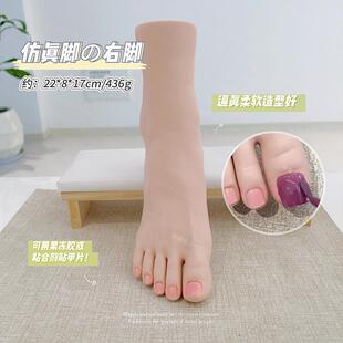 仿真美甲练习假手模手指柔软可弯曲片款式展示手模美甲工具