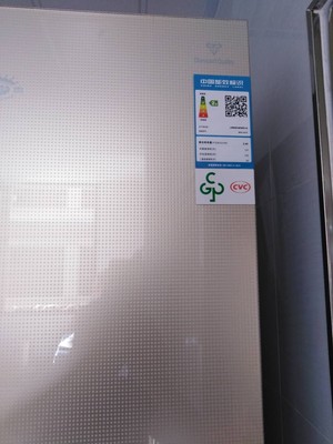 尊贵bcd-251c铜管钢化玻璃冷冻面板选择误区，需要注意这五点