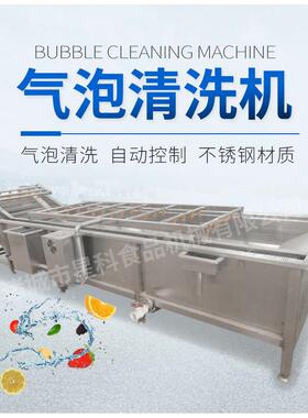 山东厂家高压水流鼓泡式清洗机蒲公英气泡清洗机小型蔬菜净菜机