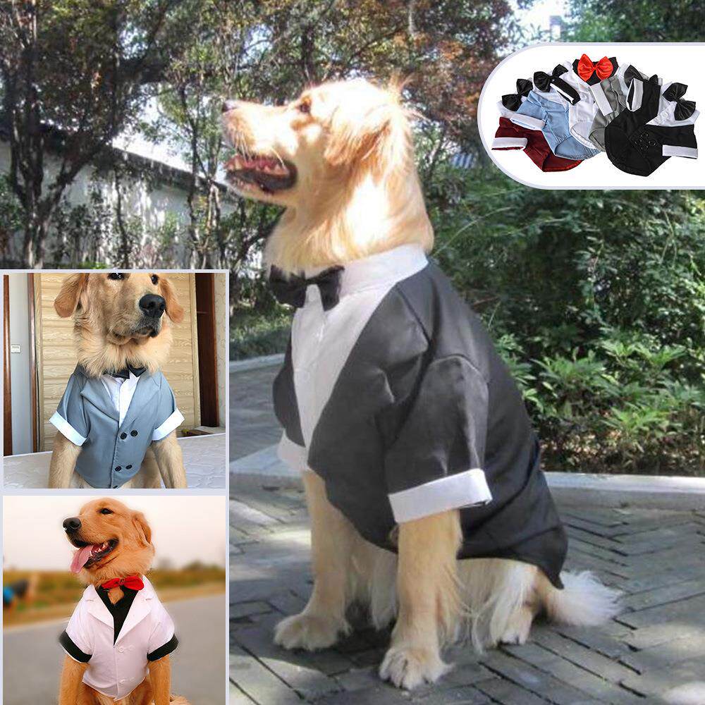大狗衣服 礼服 宠物西装 犬宠物服装 大狗棉西装