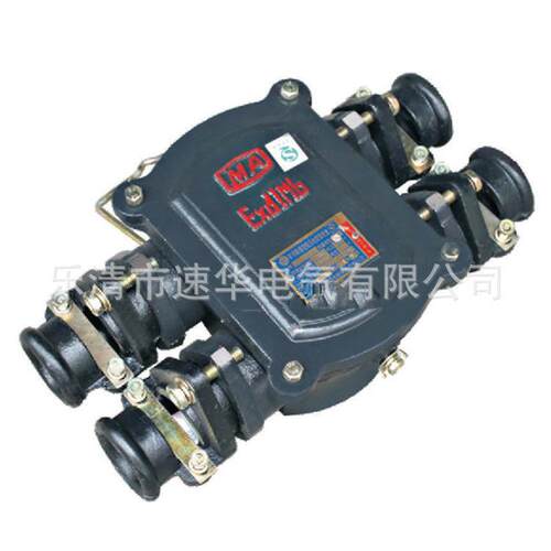 华荣 BHD2-100/660-2T矿用隔爆型低压电缆接线盒