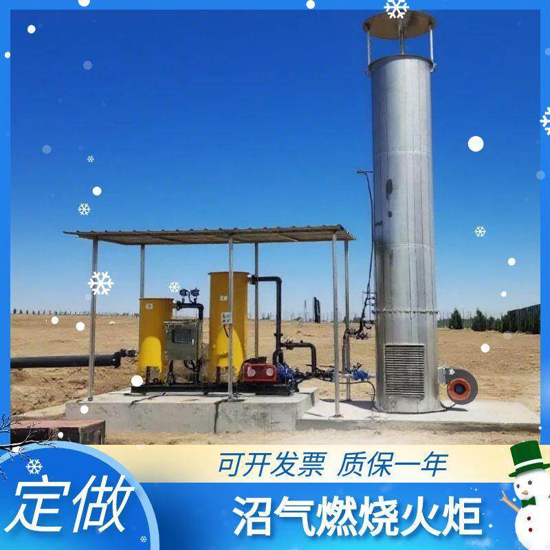 沼气火炬养殖场内燃沼气火炬垃圾处理场外燃燃烧器不锈钢沼气处理