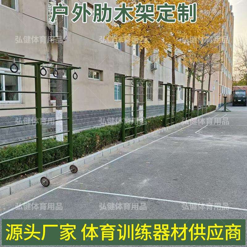 户外肋木架健身器材健身路径公园小区广场运动室外体育器材攀爬架