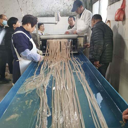 猪小肠羊小肠清洗机肝素钠生产线304不锈钢小肠清洗机肠衣清洗机