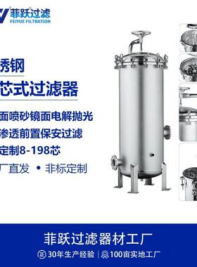 不锈钢保安过滤器pp线绕过滤芯机器反渗透井水多介质芯式过滤器