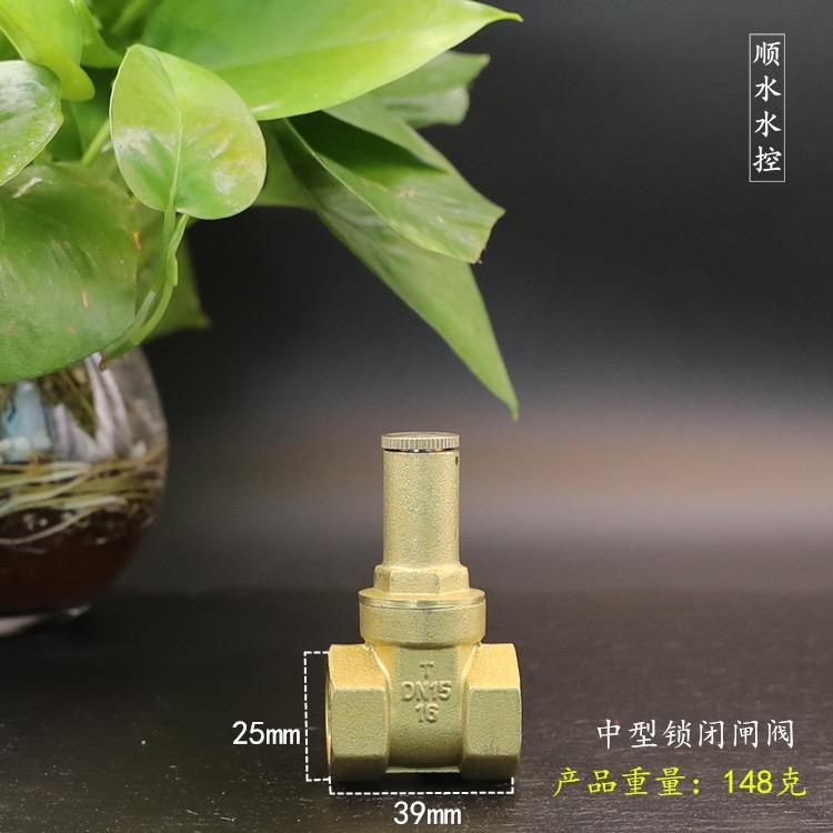 顺水内三角工程螺纹带锁闭闸阀开关自来水表前加密铜阀门4分6分