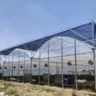 智能连栋薄膜温室大棚钢架日光温室智能温室设计建设厂家智能控制