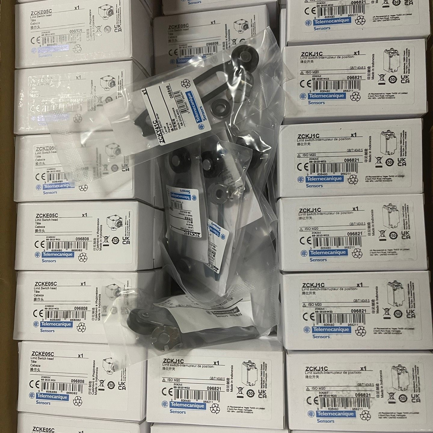 TE特勒美科（原施耐德）限位开关XCKJ10541C(ZCK