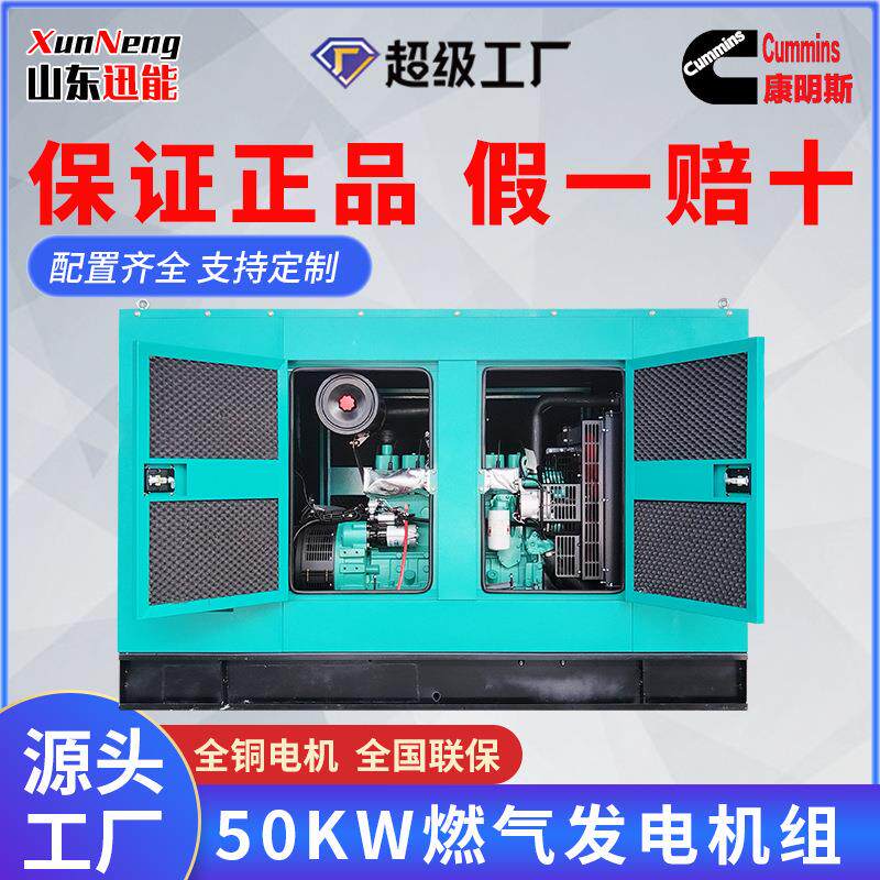 50KW燃气发电机厂家静音箱燃气发电机组50千瓦燃气发电机