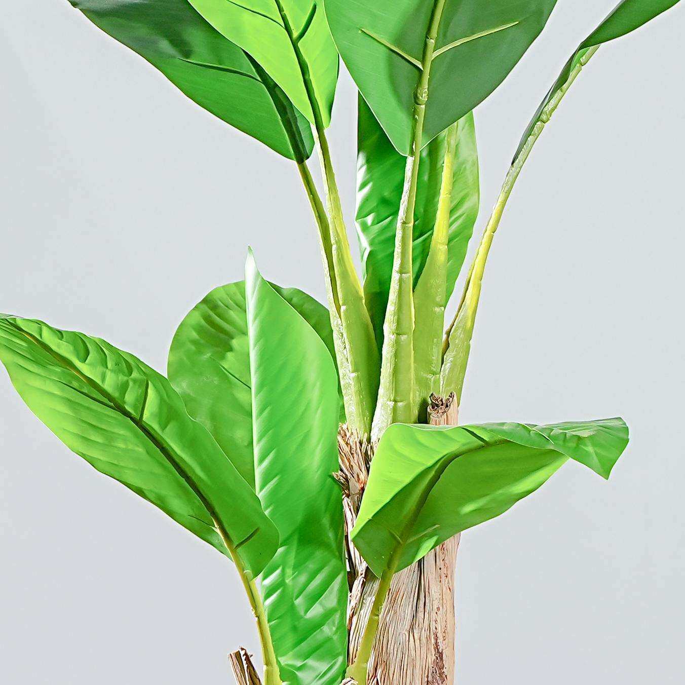 芭蕉客树芭仿真绿植盆栽室内厅大叶型落地蕉装饰植物摆件芭蕉树仿