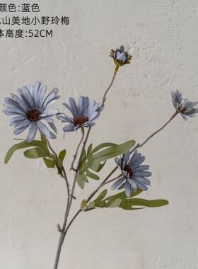 墙上花架壁挂免打孔置物架阳台花架子盆栽靠墙悬挂式挂放花盆墙面