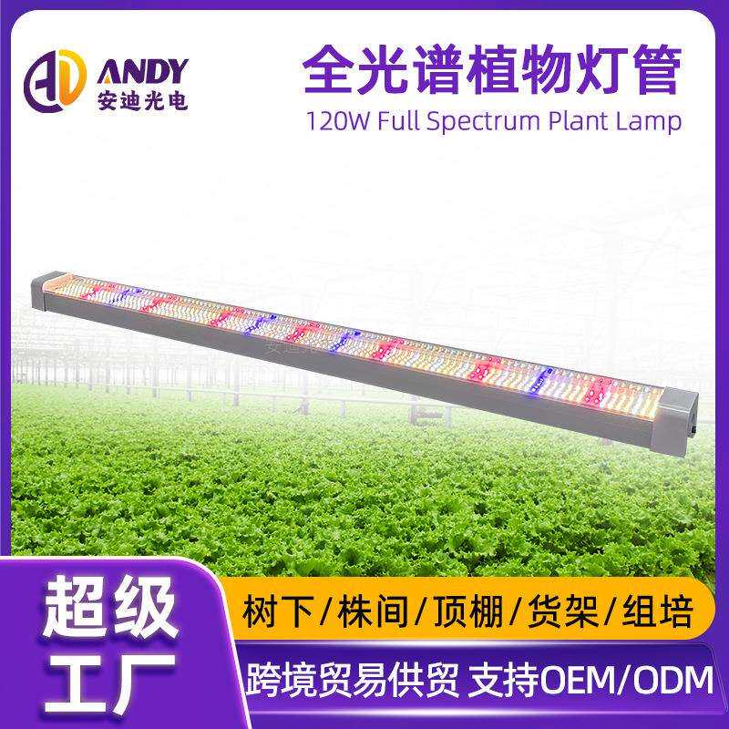 植物灯管120W防水生菜西红柿补光灯育苗货架大棚种植培led生长灯