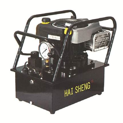 厂家直销高压汽油机动泵高压汽油机动泵ZHH-700R柱塞泵