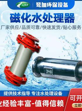 CFG磁化除垢器管内强磁水处理器强磁水处理器永磁王水处理器