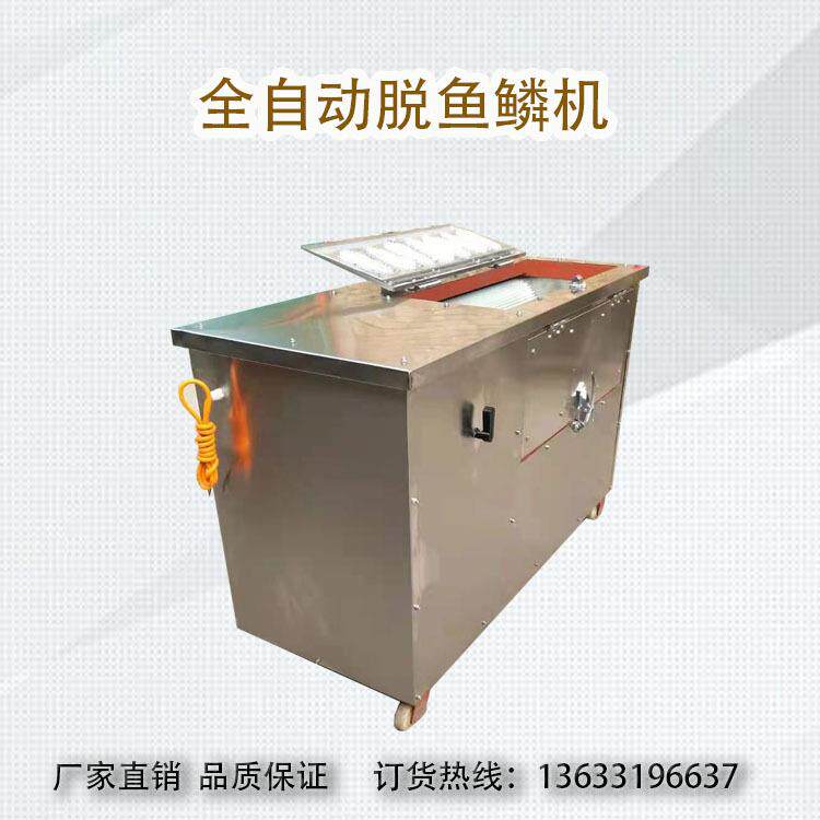 新型去鱼鳞机商用脱鱼鳞机电动刮除鱼鳞全自动杀鱼机厂家供应