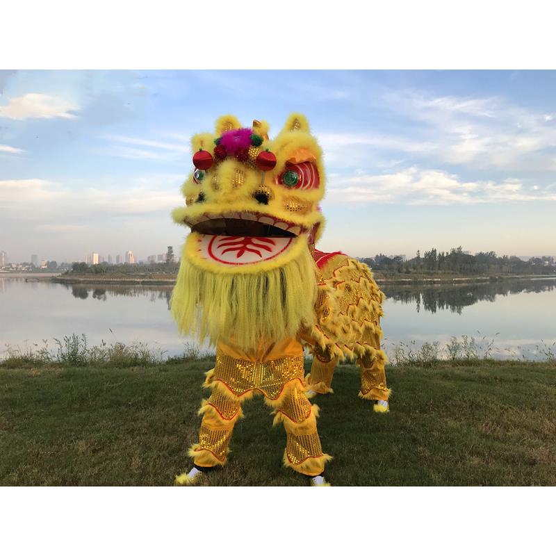 新款直销舞狮道具整套南狮双人舞狮子龙醒狮成人服装狮头套装