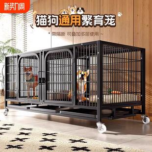 狗笼子繁殖笼大中小型犬寄样繁育带隔断厕所托盘宠物店子母鸽子笼