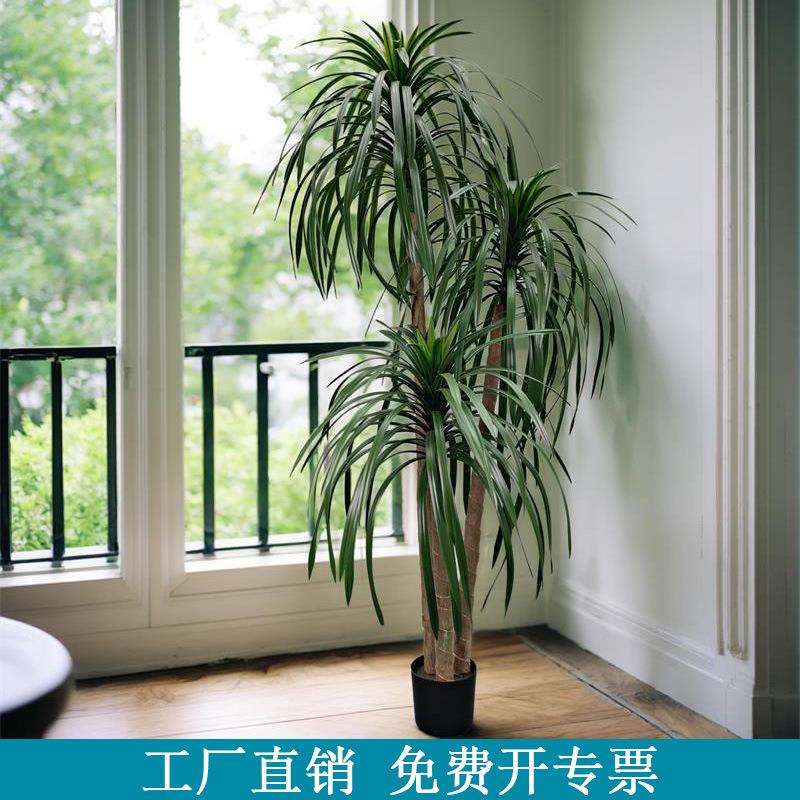 仿真龙血树绿植奶油风客厅室内假植物龙须树落地装饰盆栽摆件假树