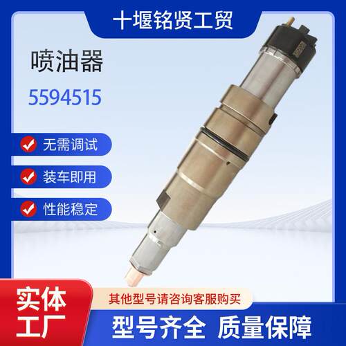 高品质喷油器总成5594515用于斯堪共轨尼亚柴油发动机